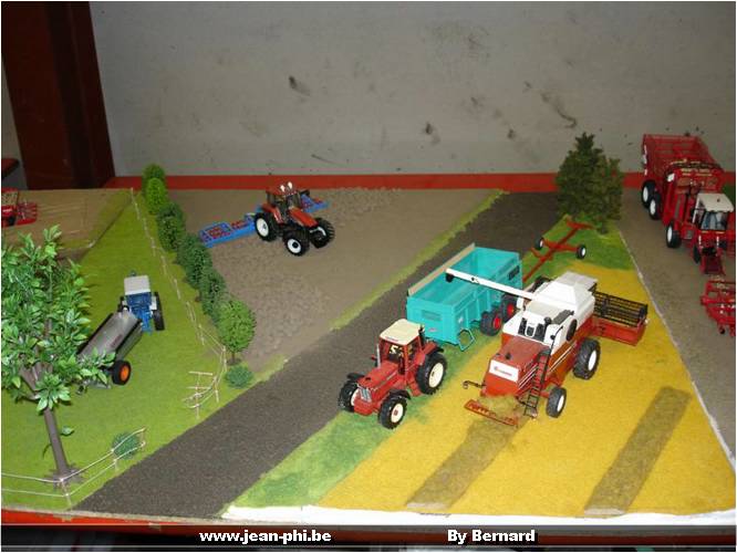 DSC04874 (Medium).JPG