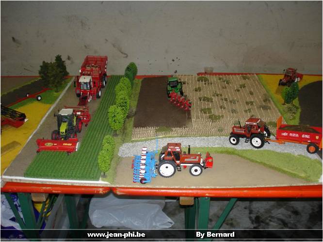 DSC04875 (Medium).JPG
