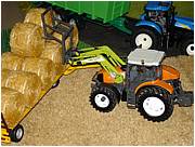 DSC04895 (Medium).JPG