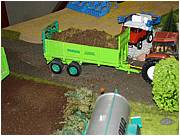 DSC04899 (Medium).JPG