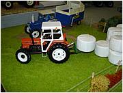 DSC04909 (Medium).JPG