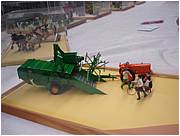 DSC04919 (Medium).JPG