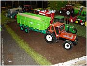 DSC04949 (Medium).JPG