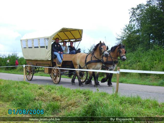 libromont2006,journee de l'herbe (547).JPG