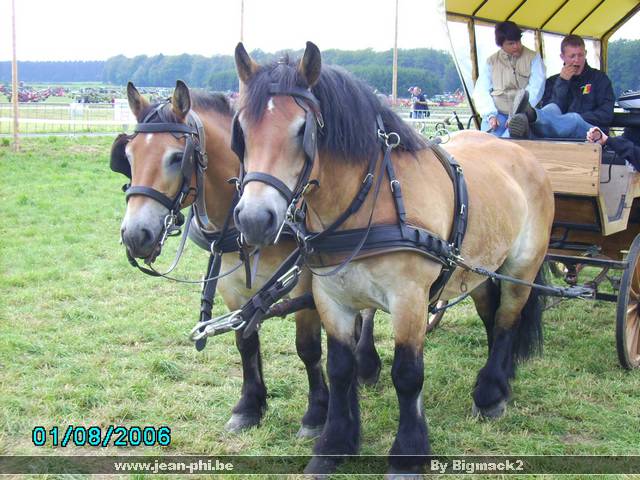 libromont2006,journee de l'herbe (580).JPG