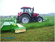 libromont2006,journee de l'herbe (226).JPG