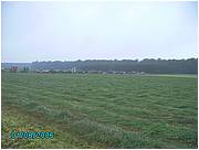 libromont2006,journee de l'herbe (3).JPG