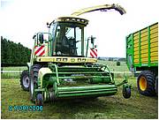 libromont2006,journee de l'herbe (381).JPG