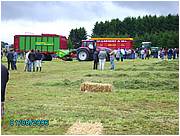libromont2006,journee de l'herbe (410).JPG