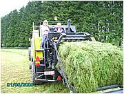 libromont2006,journee de l'herbe (546).JPG