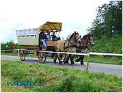 libromont2006,journee de l'herbe (547).JPG