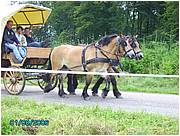 libromont2006,journee de l'herbe (548).JPG