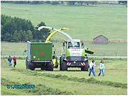 libromont2006,journee de l'herbe (552).JPG