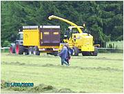libromont2006,journee de l'herbe (553).JPG