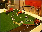 P1000700.JPG