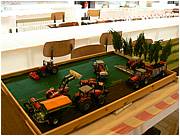 P1000736.JPG