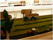 P1000737.JPG