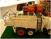P1000767.JPG