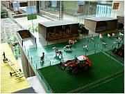 P1000820.JPG