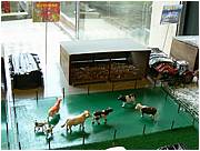 P1000825.JPG