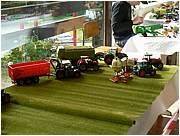 P1000861.JPG