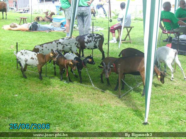 PICT0220.JPG