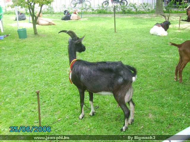 PICT0221.JPG