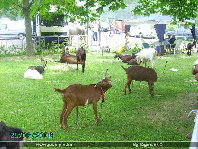 PICT0222.JPG