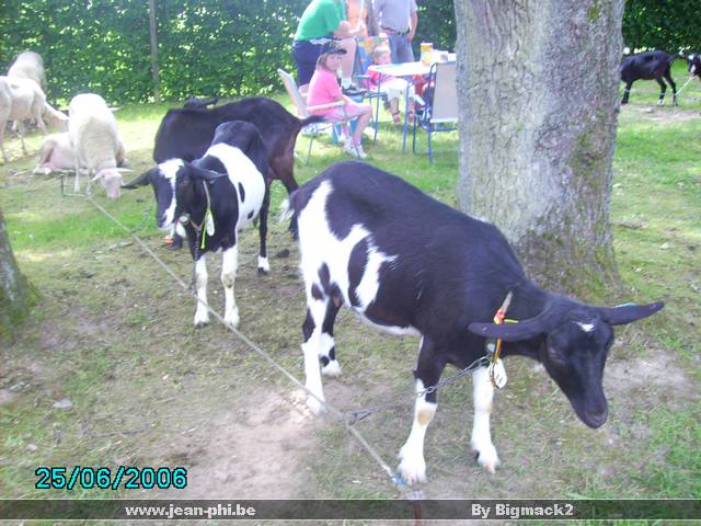 PICT0224.JPG
