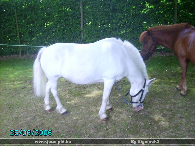 PICT0225.JPG