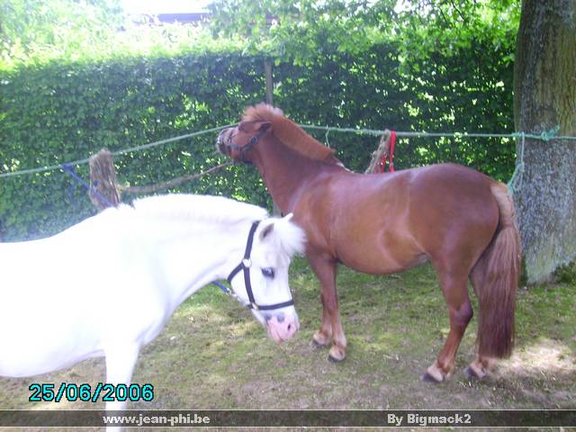 PICT0226.JPG
