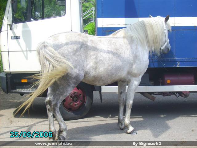 PICT0229.JPG