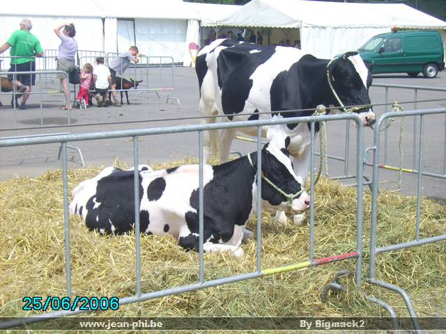 PICT0233.JPG