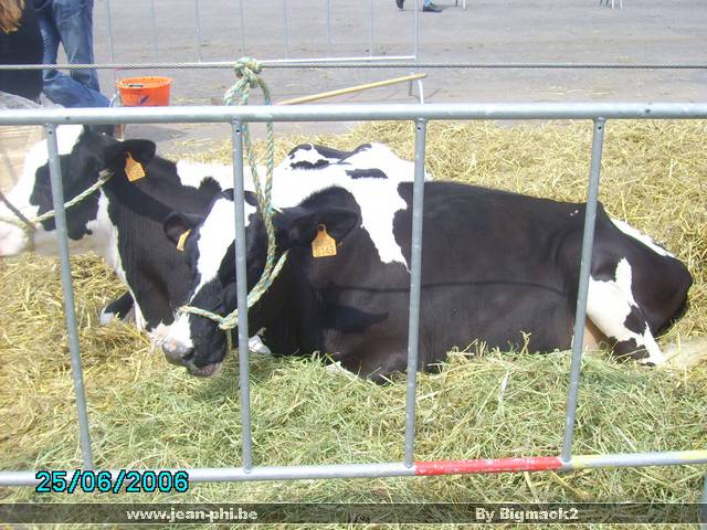 PICT0235.JPG