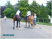PICT0215.JPG