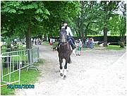 PICT0218.JPG