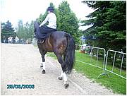PICT0219.JPG
