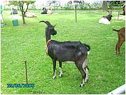 PICT0221.JPG