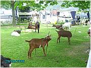 PICT0222.JPG
