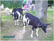 PICT0224.JPG