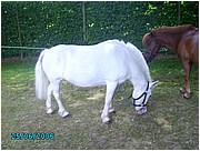 PICT0225.JPG
