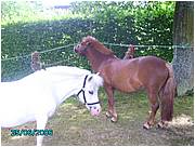 PICT0226.JPG