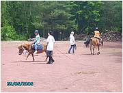 PICT0228.JPG