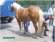 PICT0231.JPG