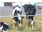 PICT0234.JPG